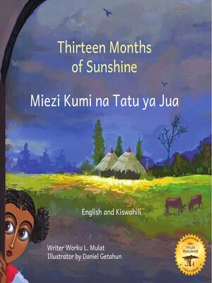 cover image of Thirteen Months of Sunshine
